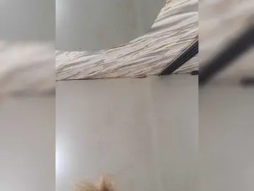 PinkKittyy  live sex cam