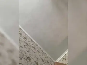 MiaTorres  live sex cam