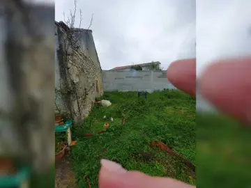 YourWitcher  live sex cam