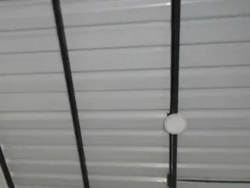 Candylovet  live sex cam