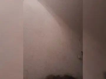 Bulochka733  live sex cam