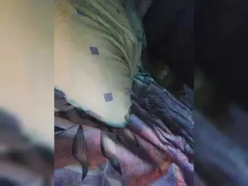 HaisonEris1  live sex cam