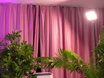LalaRoze  live sex cam