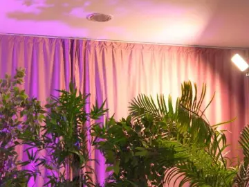 LalaRoze  live sex cam