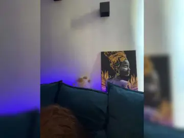 WILDGIRL  live sex cam