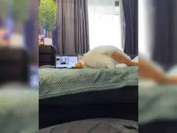 Vero19nika  live sex cam