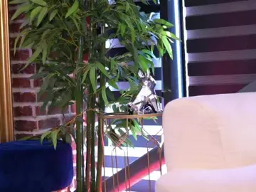 DoctorYangg  live sex cam