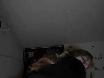 Elith20  live sex cam