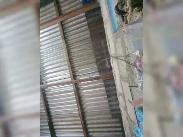 JuicyKittie  live sex cam