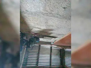 JuicyKittie  live sex cam