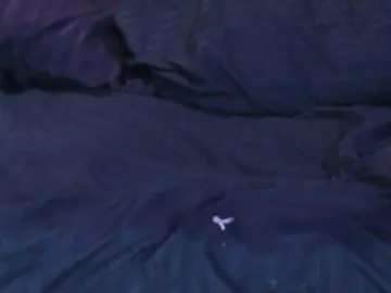 GysellHanson  live sex cam