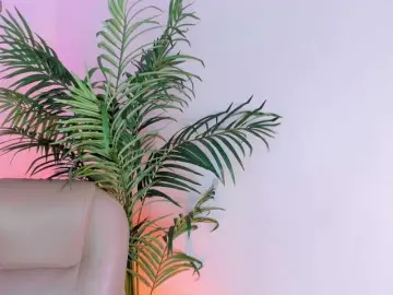 SamiraSilva  live sex cam
