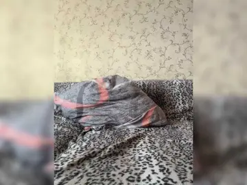 VanilaKitty  live sex cam