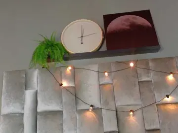 Engel-Stone  live sex cam