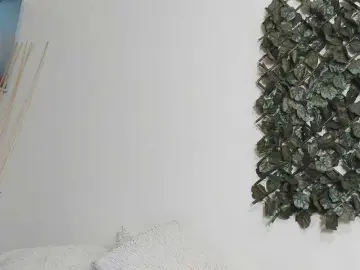 SofiaFranco  live sex cam