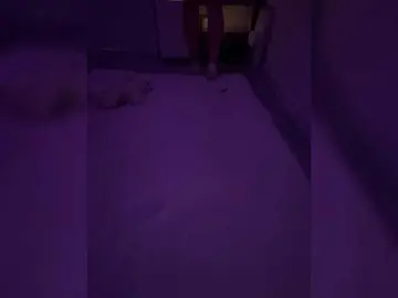 Love-Grin  live sex cam