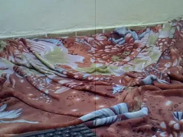 Sexxymia  live sex cam