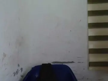 Sexyxcunt  live sex cam