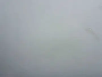 Tatswee  live sex cam