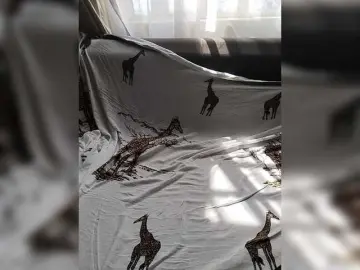 Mercyliner  live sex cam
