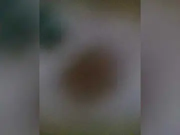 AlexBigLovea  live sex cam