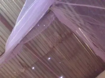 Teflona  live sex cam