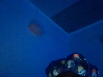 Zipporah  live sex cam