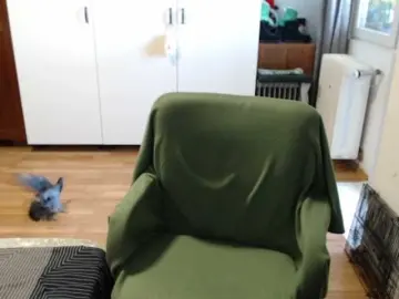 Kristineexxx  live sex cam