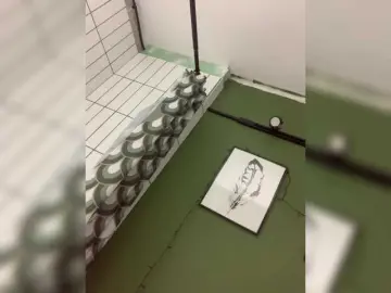 Milaya8  live sex cam