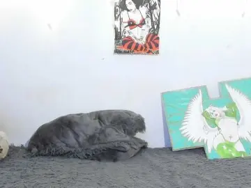 Sweetavi  live sex cam