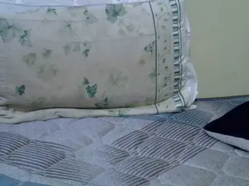 Pinky4  live sex cam
