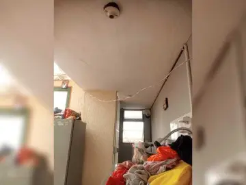 Sexygirlbrown  live sex cam