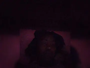 Stella11  live sex cam