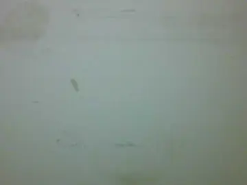 ChubbyBooby  live sex cam