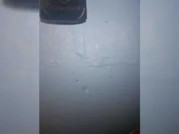Aywa90  live sex cam