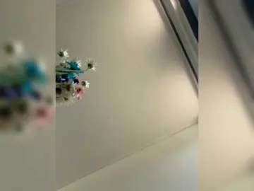 TinyRouse  live sex cam