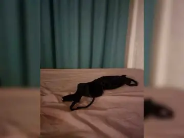 SashaSquirt1  live sex cam