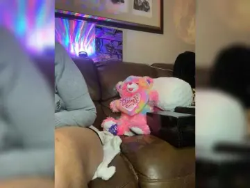 TheDime  live sex cam