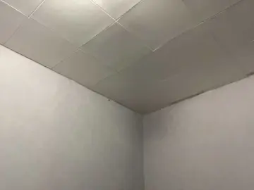 LynettaWiechman  live sex cam