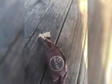 Ekaterina28A1  live sex cam