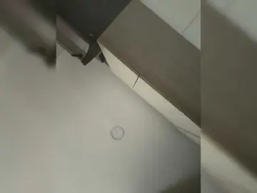 EvanShell1  live sex cam