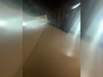 EvanShell1  live sex cam