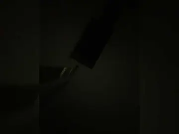 EvanShell1  live sex cam