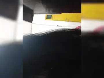 Selinababy99  live sex cam