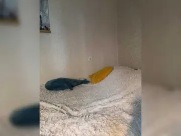 Jesstas  live sex cam