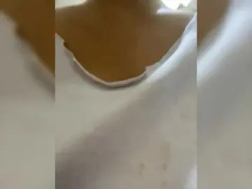 Candicelovee  live sex cam