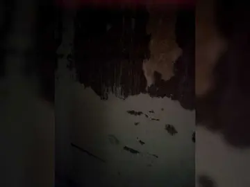 Candicelovee  live sex cam