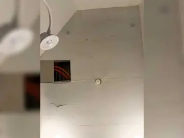 Candicelovee  live sex cam