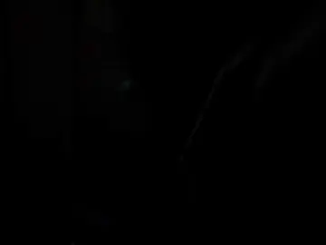 Candicelovee  live sex cam
