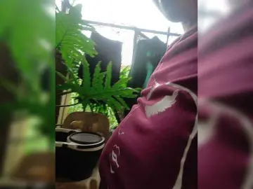 Candicelovee  live sex cam